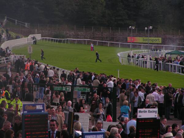 05 Wo laufen sie denn.JPG