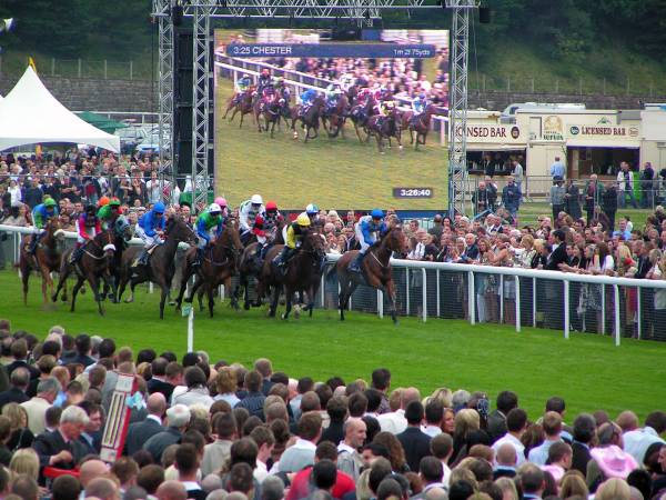 12 Unten sind die echten.JPG