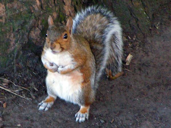 23 Beim naechsten Mal Boxen.JPG